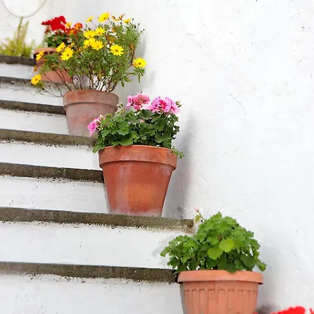 Apartamento Balcone Sul Vesuvio *